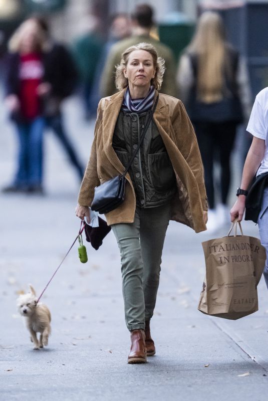 NAOMI WATTS Out with Her Dog in New York 12/13/2021