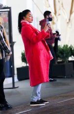 NICOLE SCHERZINGER Out at The Grove in Los Angeles 12/05/2021