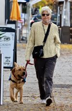 SELMA BLAIR Out with Her Dog in Studio City 12/28/2021