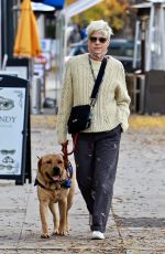 SELMA BLAIR Out with Her Dog in Studio City 12/28/2021