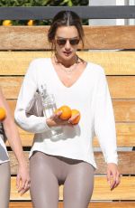 ALESSANDRA AMBROSIO Leaves a Private Gym in Beverly Hills 01/25/2022