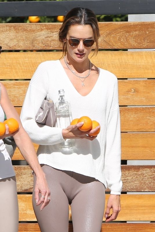 ALESSANDRA AMBROSIO Leaves a Private Gym in Beverly Hills 01/25/2022