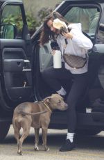 ANA DE ARMAS Out with Her Dog in Santa Monica 01/25/2022