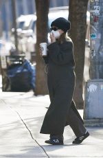 ASHLEY OLSEN Out and About in New York 01/06/2022