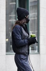BELLA HADID Out on New Year