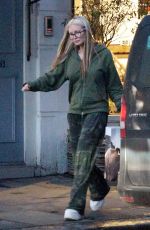 CAPRICE BOURRET Shopping at an Organic Farm Shop in Notting Hill 01/19/2022