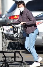 ELIZABETH BANKS Out Shopping in Los Angeles 01/09/2022