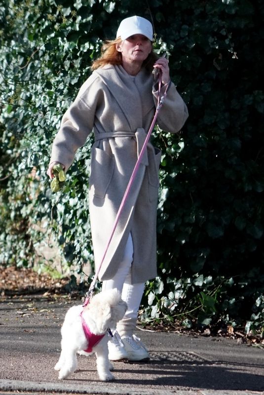 GERI HALLIWELL Out with Her Dog in London 01/20/2022