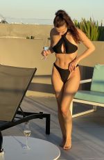 IVA KOVACEVIC in Bikini at a Roof Pool in Miami 12/31/2021