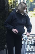 JESSICA HART Out Shopping in Silver Lake 01/08/2022