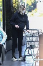 JESSICA HART Out Shopping in Silver Lake 01/08/2022