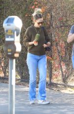 JUDY GREER Out Hiking in Los Angeles 01/26/2022