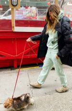 KELLY BENSIMON Out with Her Two Dogs in New York 01/19/2022