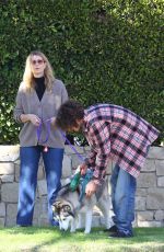 LAURA DERN Out for Morning Walk in Brentwood 01/30/2022