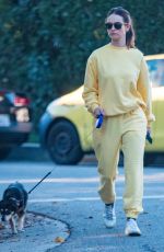 LILY JAMES Out with Her Dog in West Hollywood 01/20/2022