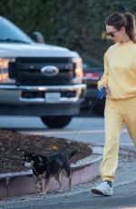 LILY JAMES Out with Her Dog in West Hollywood 01/20/2022