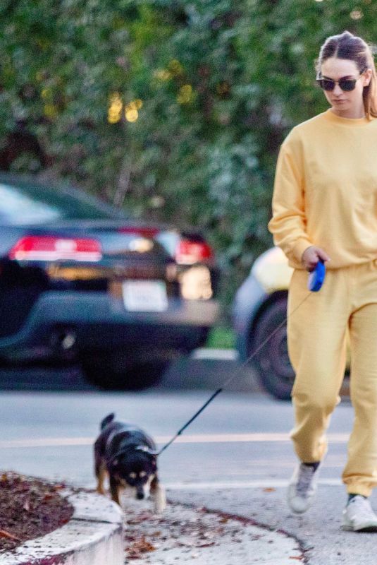 LILY JAMES Out with Her Dog in West Hollywood 01/20/2022