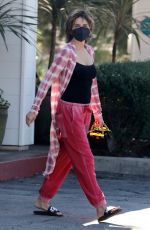 LISA RINNA Out for Lunch in Bel Air 01/232/2022