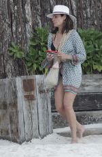 LUANN DE LESSEPS Arrives at a Beach Party in Tulum 01/07/2022