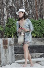 LUANN DE LESSEPS Arrives at a Beach Party in Tulum 01/07/2022