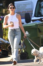 LUCY HALE in Tight Denim Out with Her Dogs in Los Angelis 01/25/2022