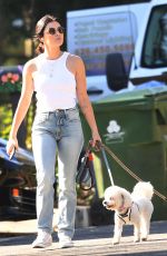 LUCY HALE in Tight Denim Out with Her Dogs in Los Angelis 01/25/2022