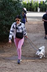 LUCY HALE Out with Her Dogs in Los Angeles 01/12/2022