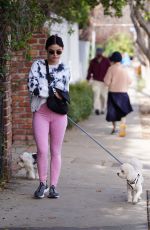 LUCY HALE Out with Her Dogs in Los Angeles 01/12/2022