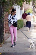 LUCY HALE Out with Her Dogs in Los Angeles 01/12/2022