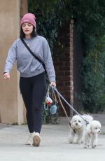 LUCY HALE Out with Her Dogs in Los Feliz 01/29/2022