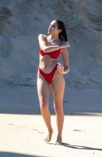 OLIVIA and SOPHIA CULPO in Bikinis on Vacation in Cabo San Lucas 01/15/2022