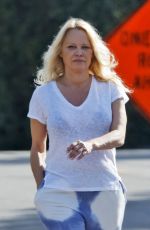 PAMELA ANDERSON and Dan Hayhurst Out in Malibu 01/14/2022