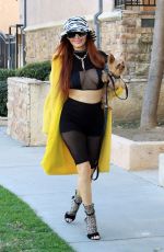 PHOEBE PRICE Out with Her Dog in Los Angeles 01/22/2022