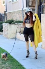 PHOEBE PRICE Out with Her Dog in Los Angeles 01/22/2022