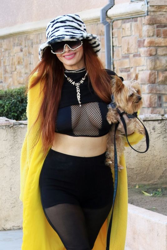 PHOEBE PRICE Out with Her Dog in Los Angeles 01/22/2022