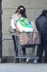 SHAY MITCHELL Shopping at a Grocery Store in Los Feliz 01/18/2022