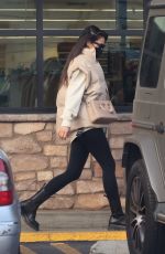SHAY MITCHELL Shopping at a Grocery Store in Los Feliz 01/18/2022