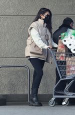 SHAY MITCHELL Shopping at a Grocery Store in Los Feliz 01/18/2022