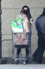 SHAY MITCHELL Shopping at a Grocery Store in Los Feliz 01/18/2022