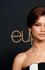 ZENDAYA COLEMAN at Euphoria, Season 2 Premiere in Los Angeles 01/05/2022