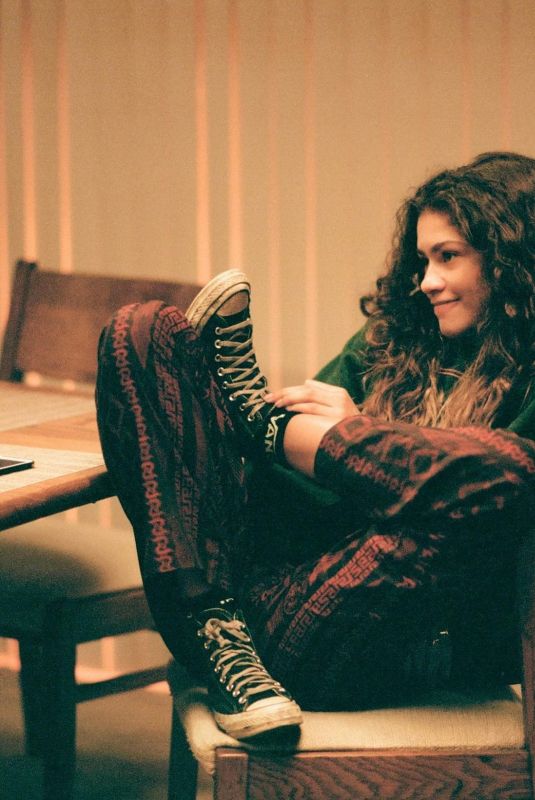 ZENDAYA COLEMAN - Instagram Photos 01/16/2022