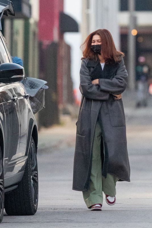 ZENDAYA COLEMAN Out and About in Los Angeles 01/18/2022