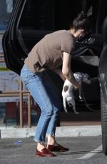 ALEXANDRA DADDARIO at a Pet Clinic in Los Angeles 02/04/2022