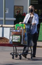 ASHLEE SIMPSON Out Shopping at Grocery Store in Los Angeles 02/16/2022