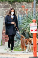 AUBREY PLAZA Out with Her Dogs for a Walk in Los Feliz 02/15/2022