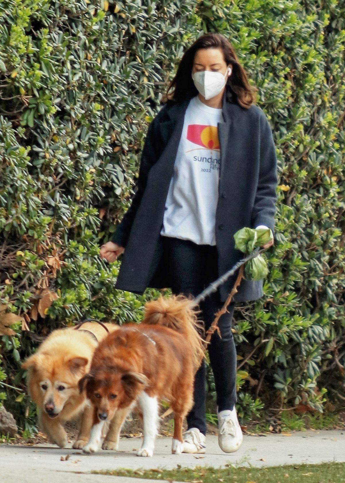 AUBREY PLAZA Out with Her Dogs in Los Feliz 02/15/2022 – HawtCelebs
