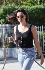 AUBREY PLAZA Walks Her Dogs in Los Feliz 02/13/2022