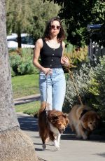 AUBREY PLAZA Walks Her Dogs in Los Feliz 02/13/2022