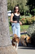 AUBREY PLAZA Walks Her Dogs in Los Feliz 02/13/2022