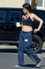 CAMILA CABELLO Out for Morning Walk in Studio City 02/08/2022